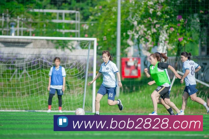 bob半岛体育官网平台发展历程